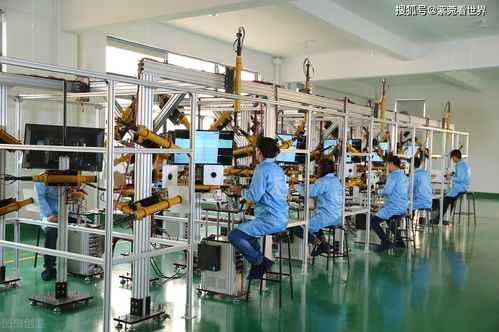 41歲母親再婚生子，壓榨大兒子引發(fā)社會爭議